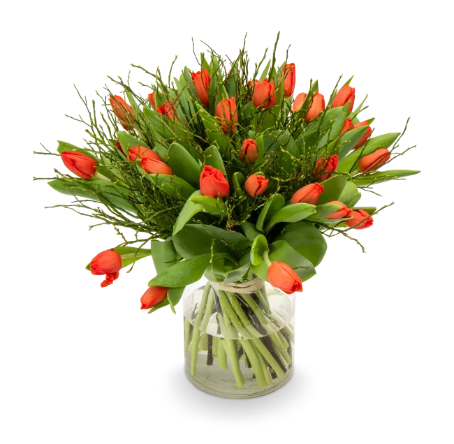 Bouquet of red tulips